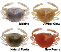 Berkley Gulp Alive Peeler Crab ,Sand Eels, Saltwater Sandworms