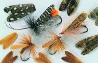Natural Feather Caddis Wings.