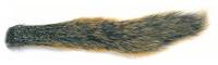 Fox Squirrel Natural Barred Tail